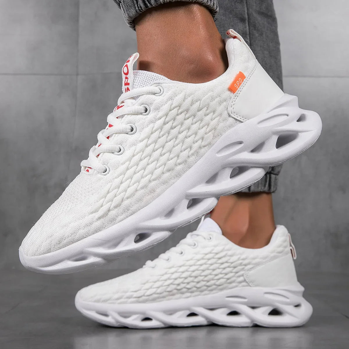 S77295dc1aed342029e12186e26635730x